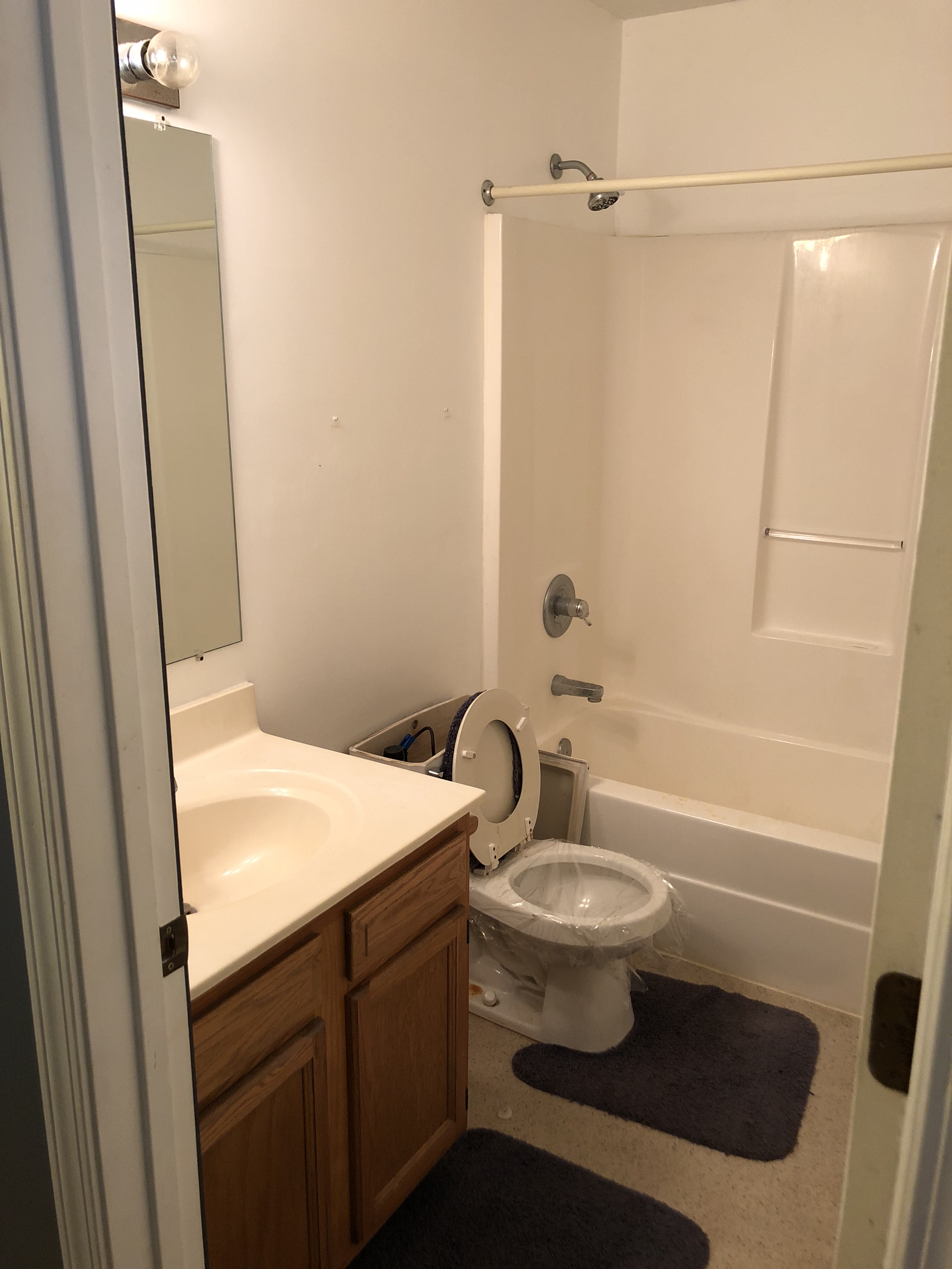 before hall bath.jpg