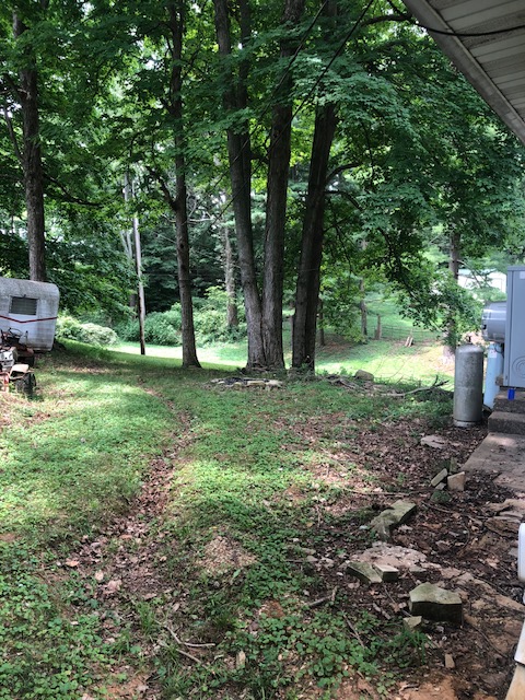 chester backyard.jpg